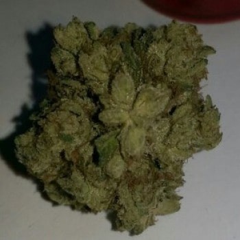 Kandy Kush (Reserva Privada)